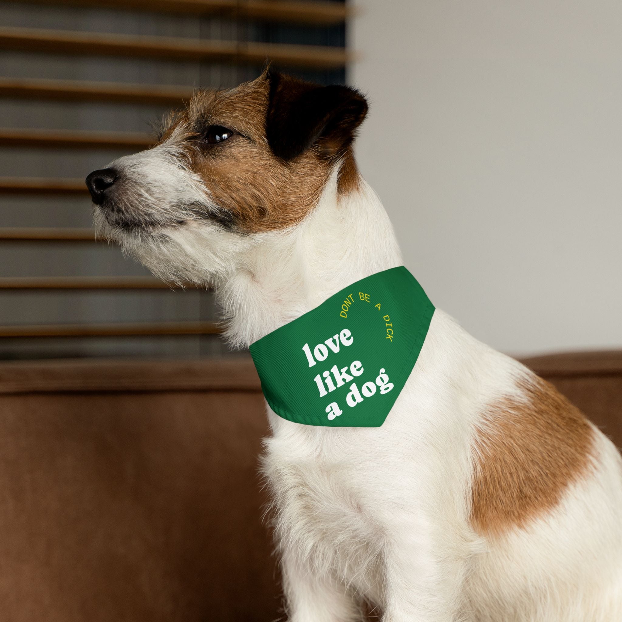 Pet Bandana — "Love Like a Dog" Green Collar Bandana