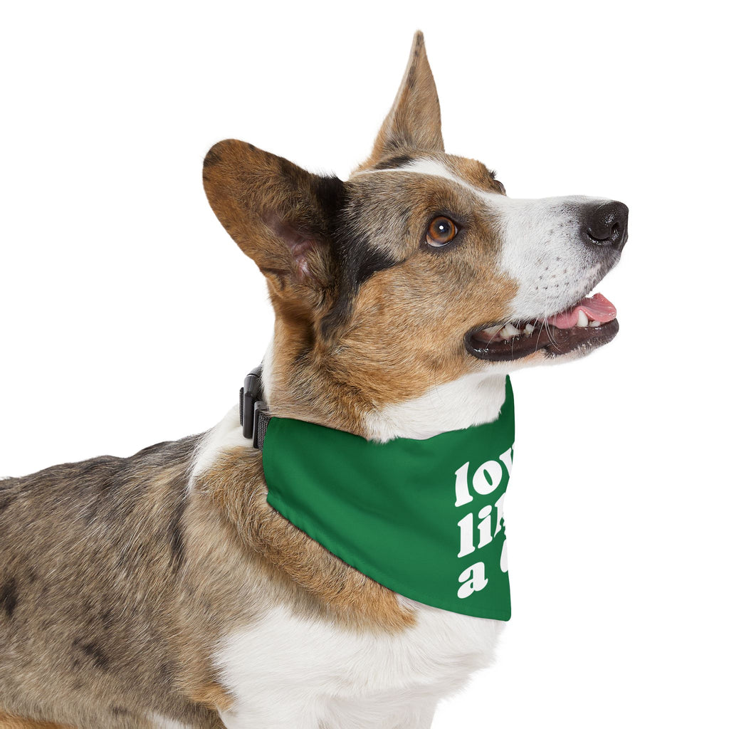 Pet Bandana — "Love Like a Dog" Green Collar Bandana