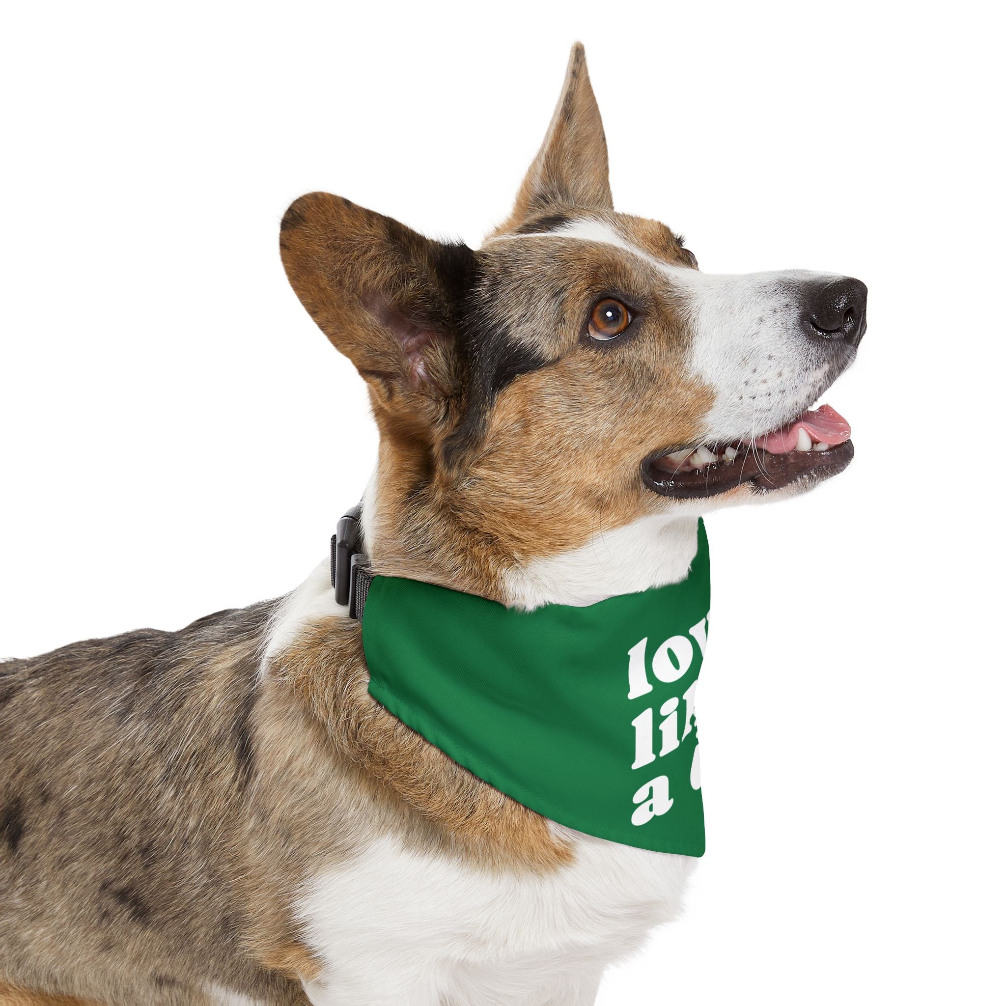 Pet Bandana — "Love Like a Dog" Green Collar Bandana